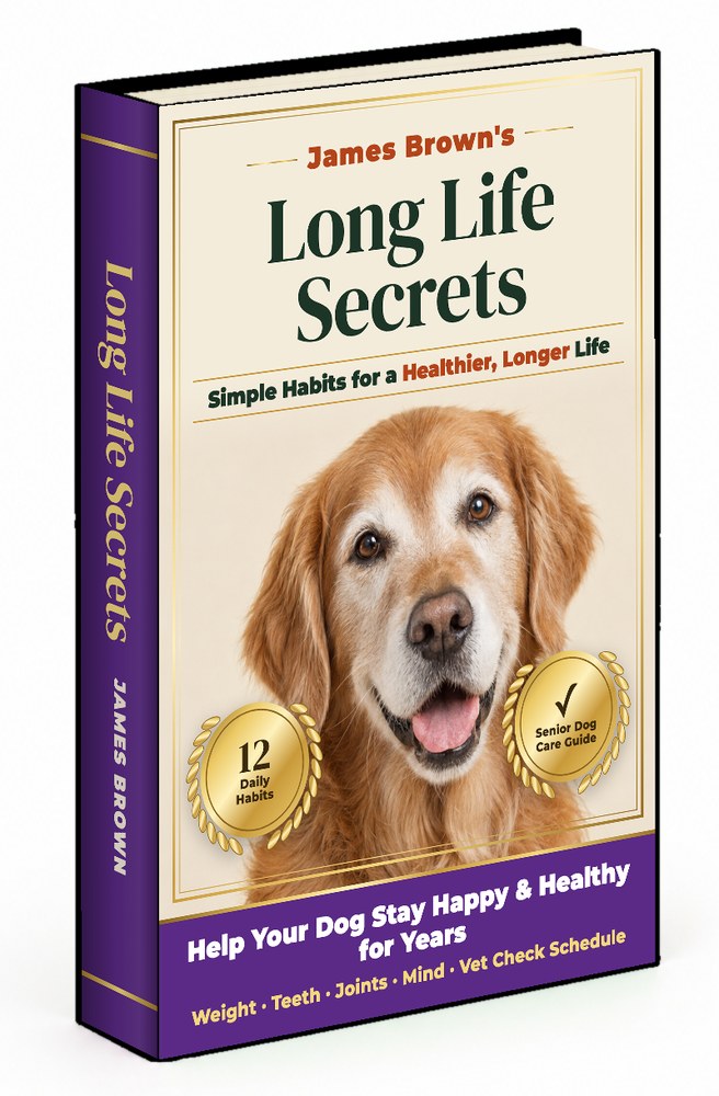 Long Life Secrets